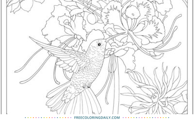 Free Pretty Hummingbird Coloring Page
