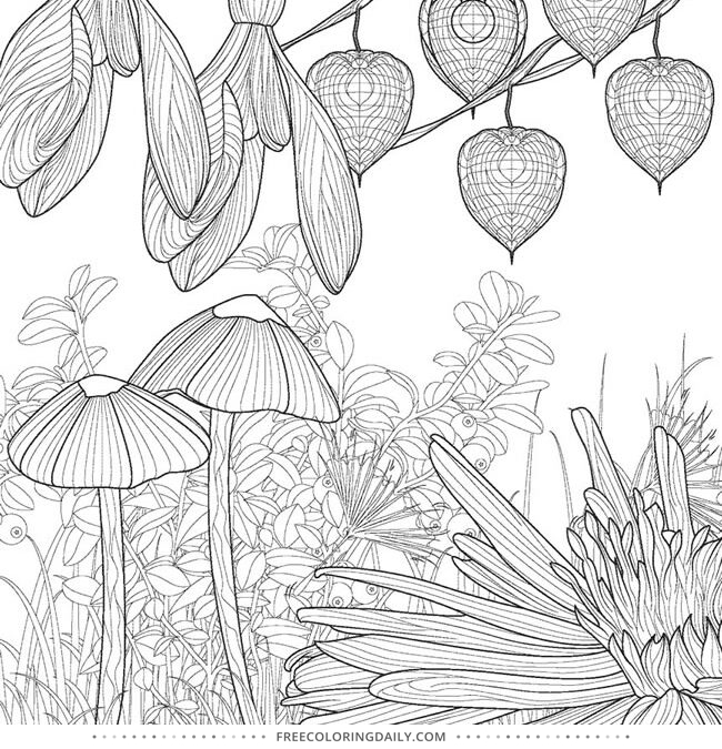 Free Woodland Coloring Page