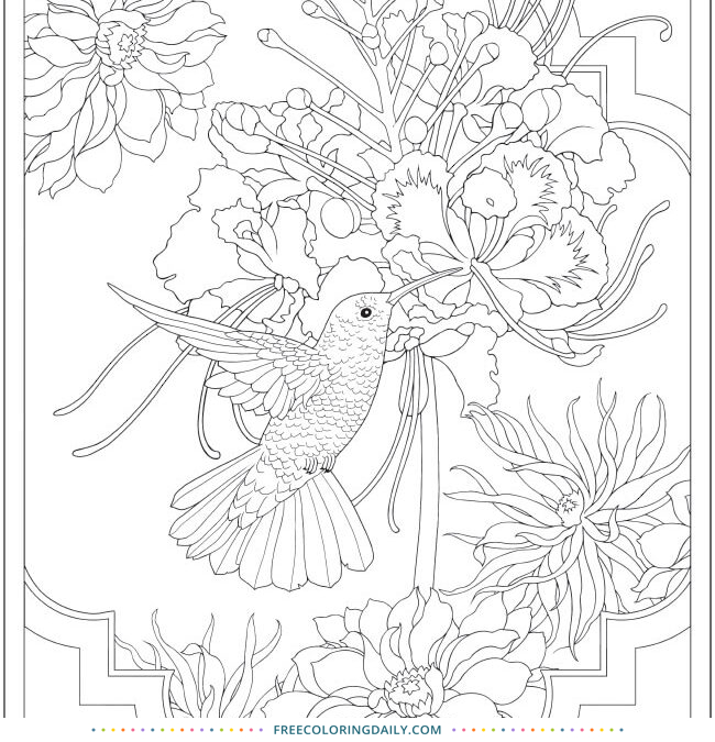Free Pretty Hummingbird Coloring