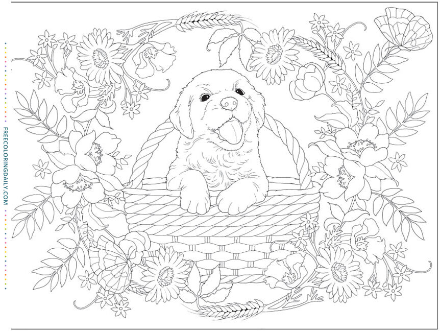 Free Cute Puppy Coloring Page