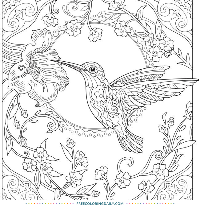 Free Sweet Hummingbird Coloring