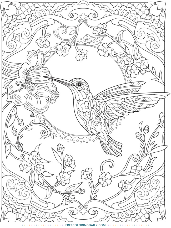 Free Sweet Hummingbird Coloring