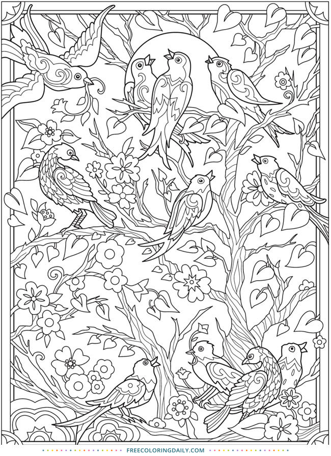 Free Gorgeous Bird Coloring Page