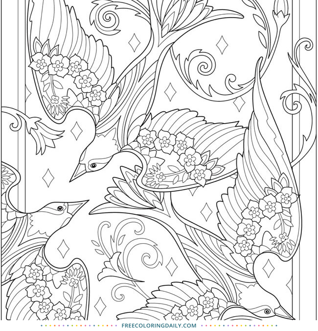 Free Gorgeous Birds Coloring Page