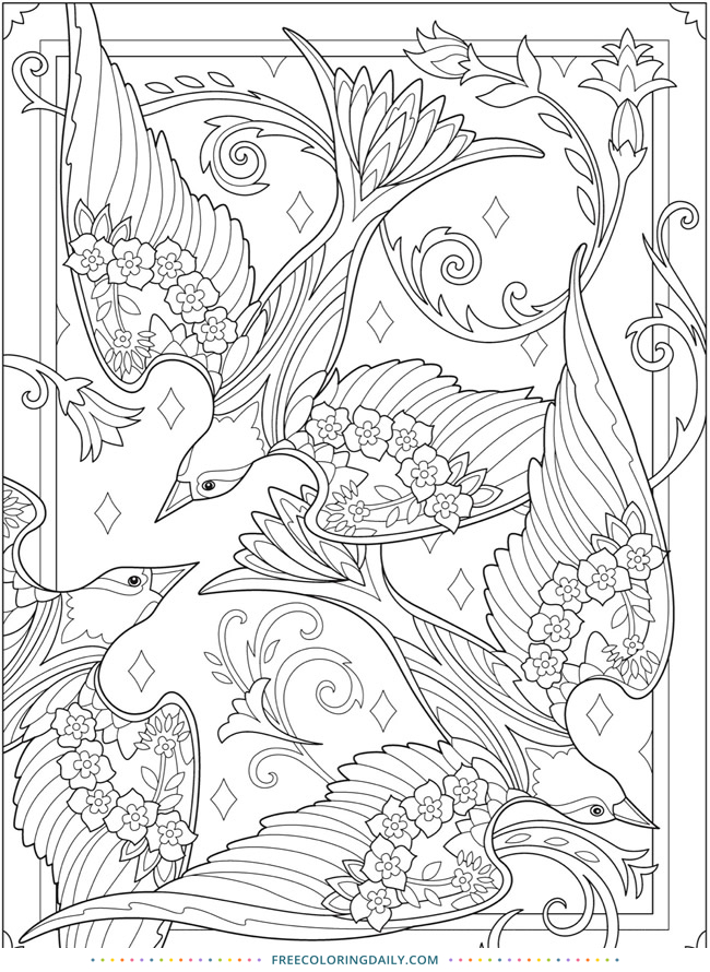 Free Gorgeous Birds Coloring Page