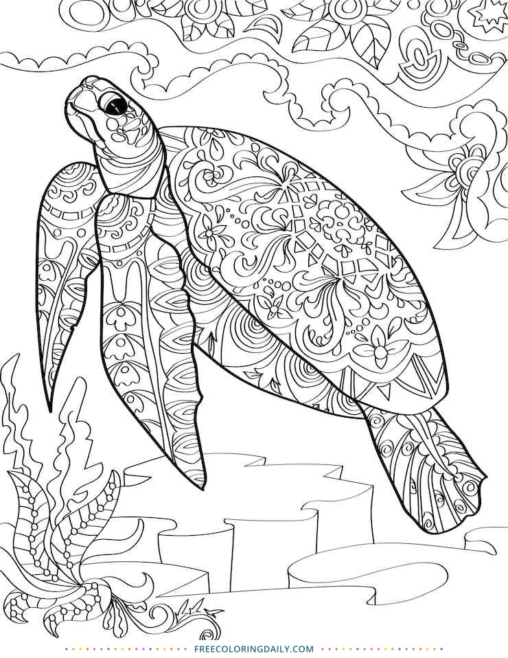 Free Patterned Turtle Coloring