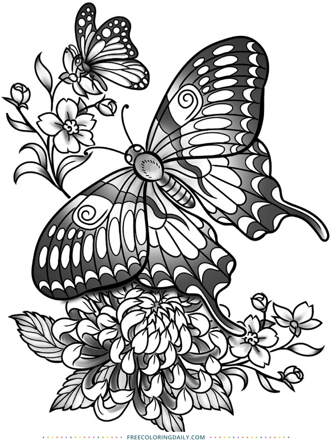 Free Lovely Butterfly Coloring
