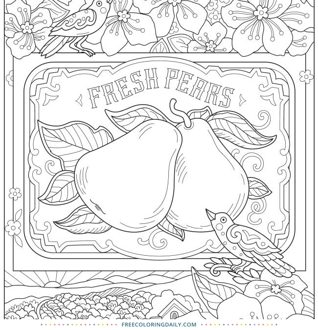 Free Pear Harvest Coloring