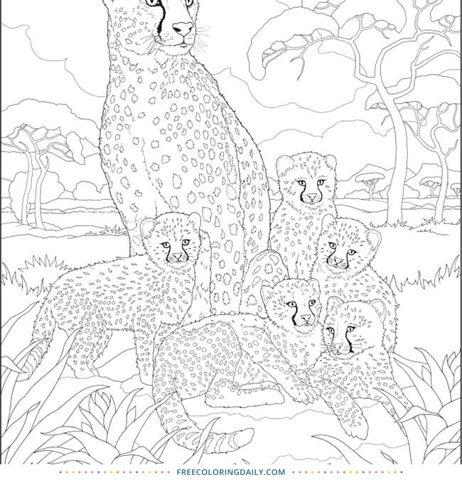 Free Cheetah Family Coloring