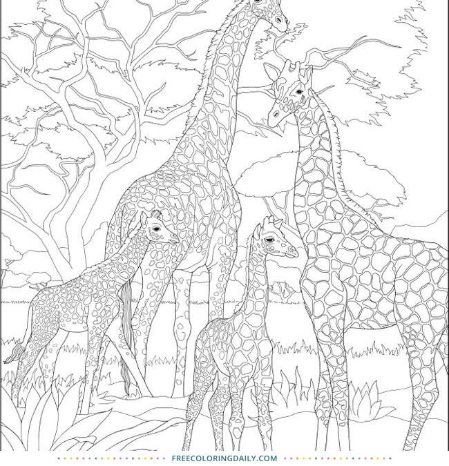 Free Giraffe Family Coloring Page