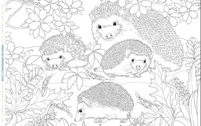 Free Cute Hedgehogs Coloring Page