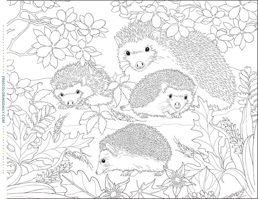 Free Cute Hedgehogs Coloring Page
