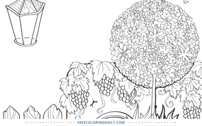 Free Grapes Growing Coloring Page