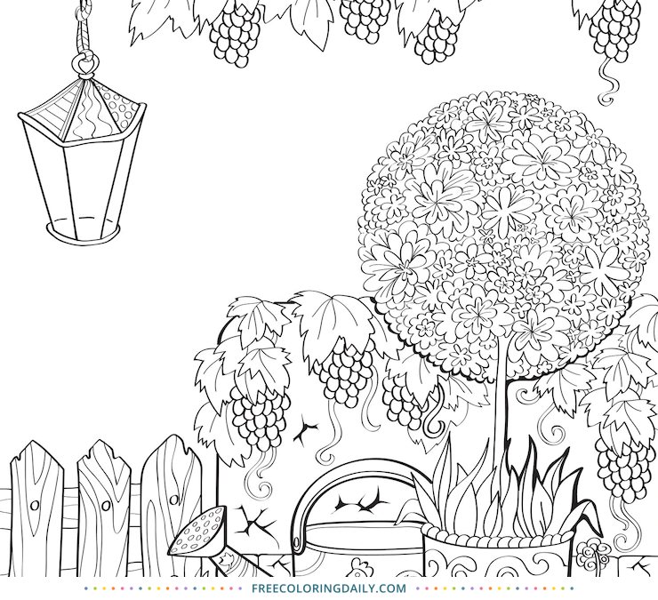 Free Grapes Growing Coloring Page