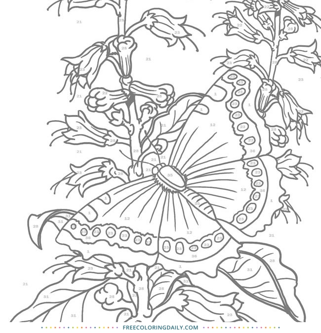 Free Pretty Butterfly Coloring